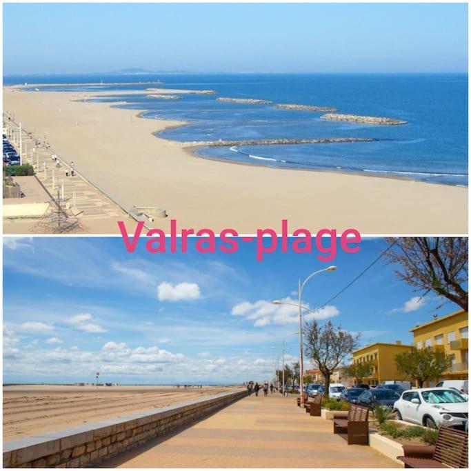 Un Bol D'Air Frais Et De Soleil Entre Campagne Et Plage Villa Béziers Exteriör bild